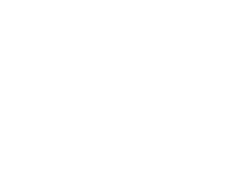 D&L logo